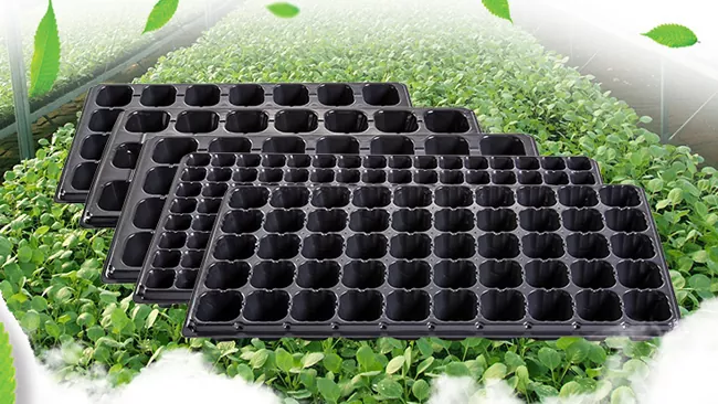¿Cuáles son las máquinas de producción de bandejas de plántulas?